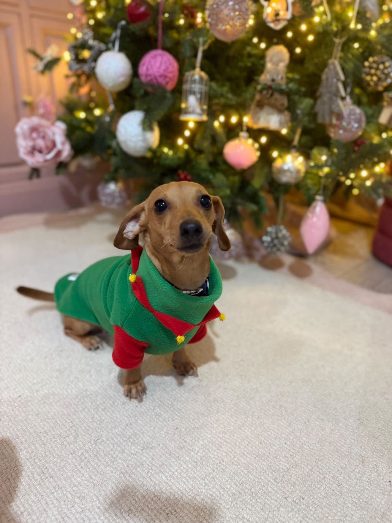 Elf Fleece Jumper