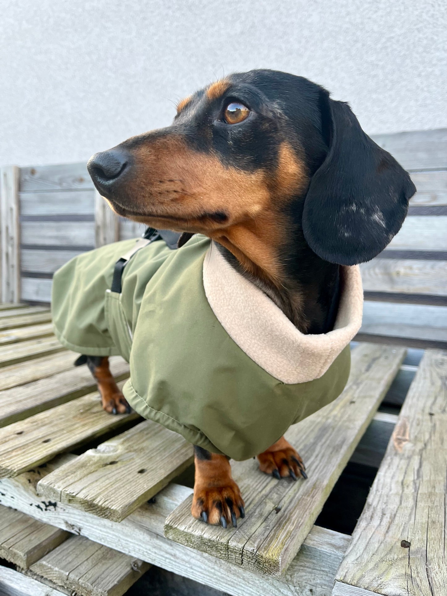 Olive Full Tummy Waterproof Jacket with Fleece Lining