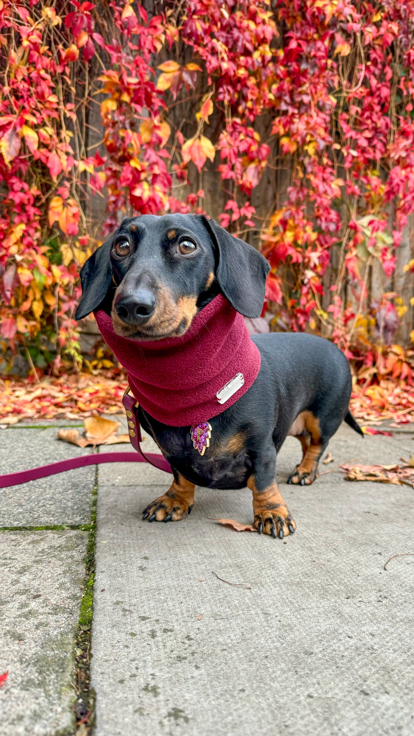 Wine Fleece Snood