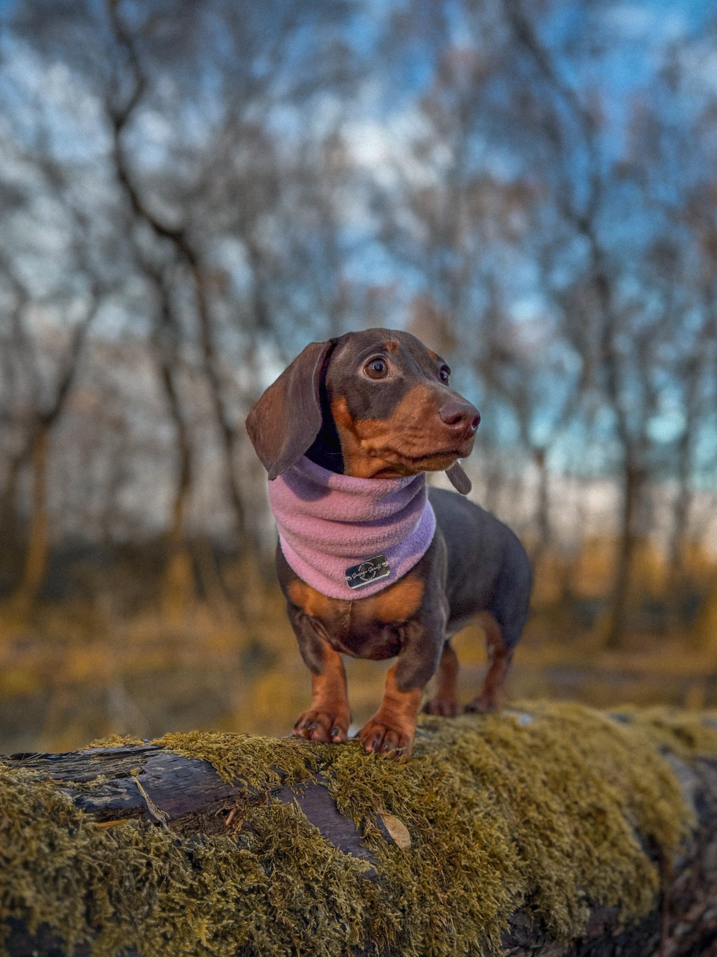 Lilac Fleece Snood