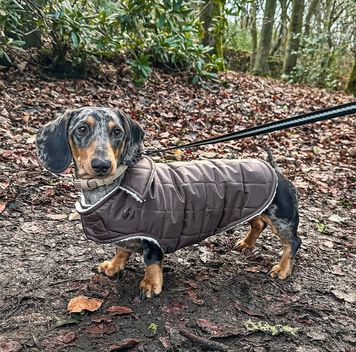 Chocolate Quilted Coat with Borg Lining