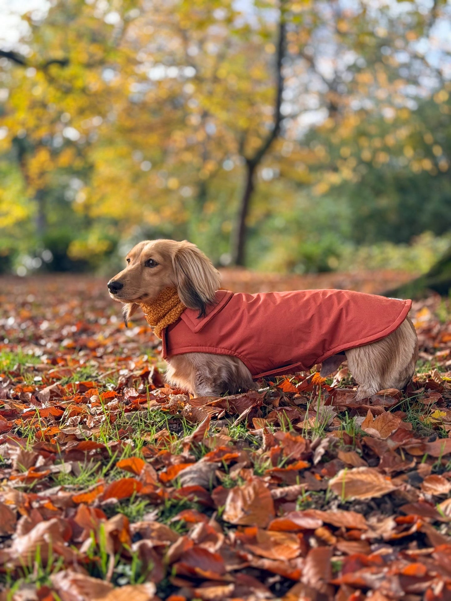 Rust Waterproof Jacket with Fleece Lining