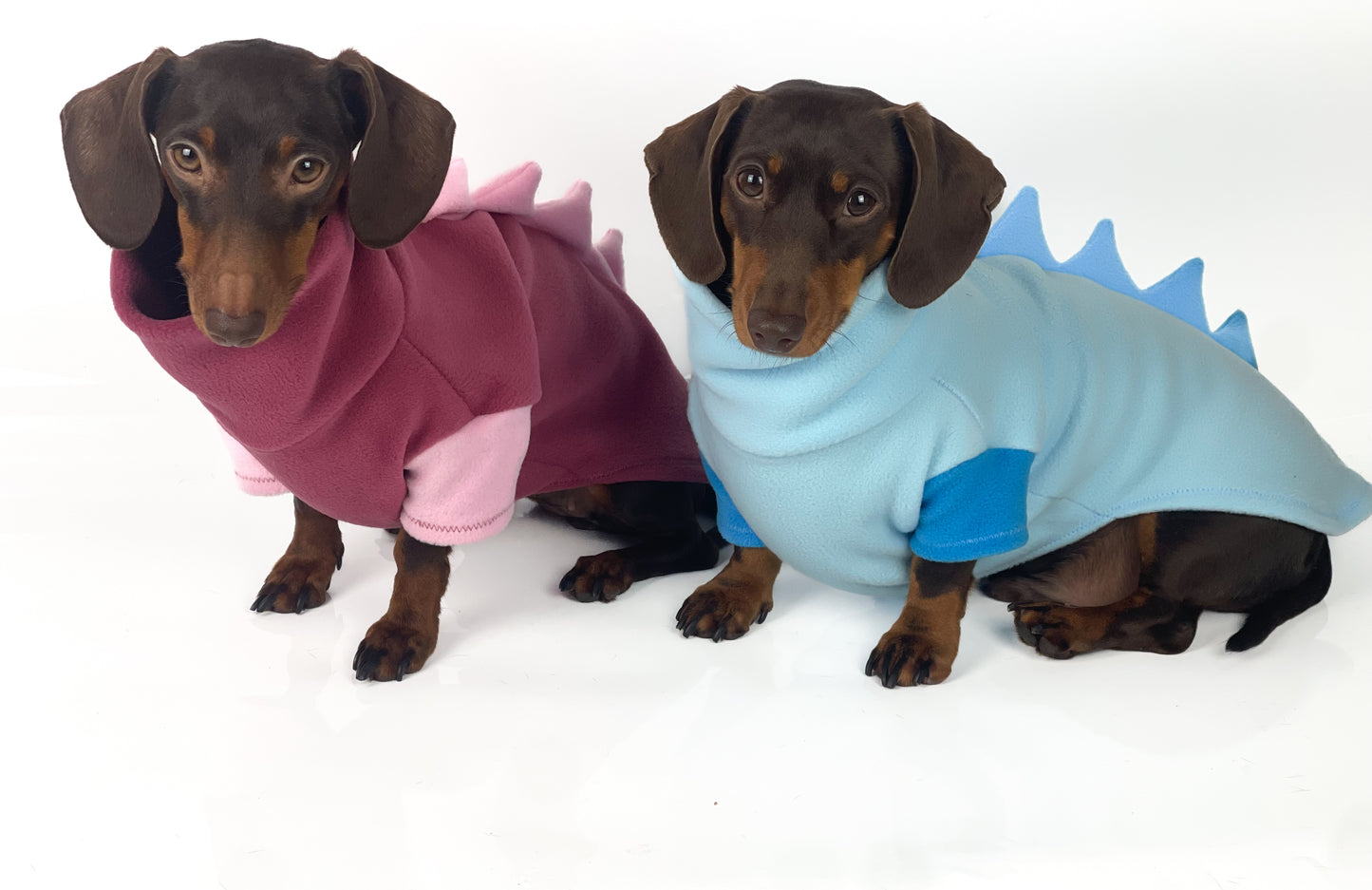 Jurassic Bark Fleece Jumper