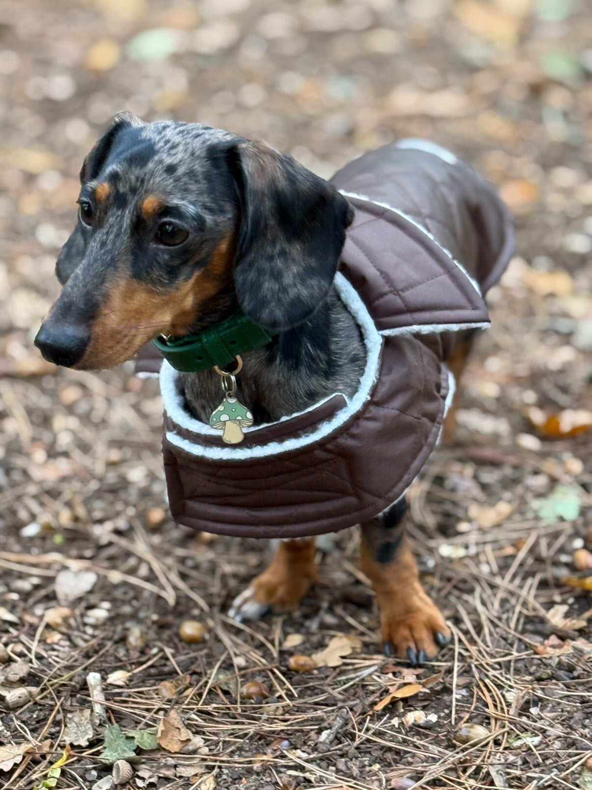 Chocolate Quilted Coat with Fleece Lining
