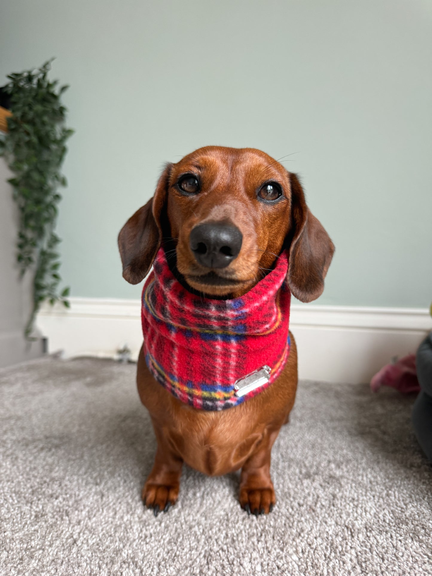 Red Tartan Fleece Snood