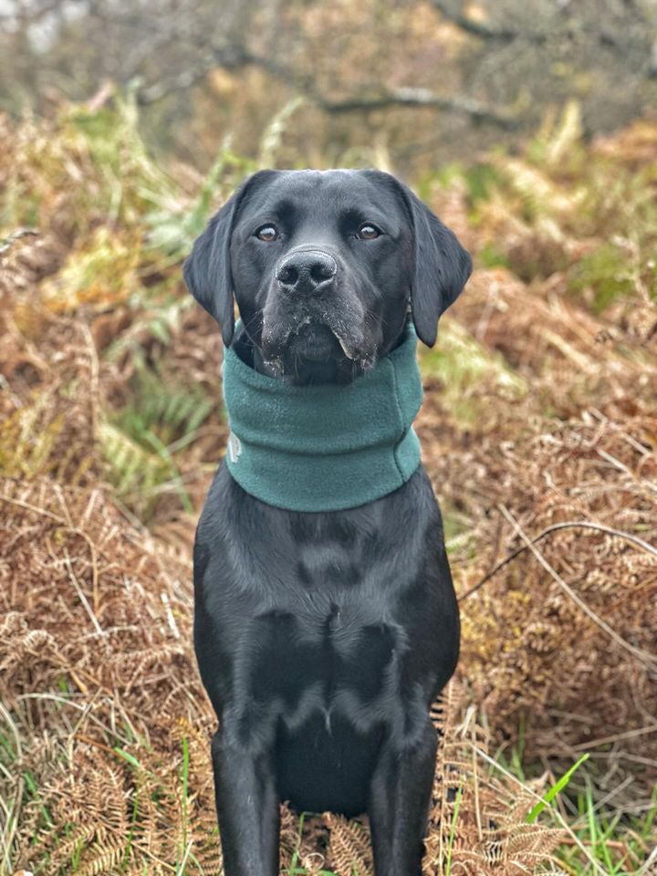 Dark Green Fleece Snood