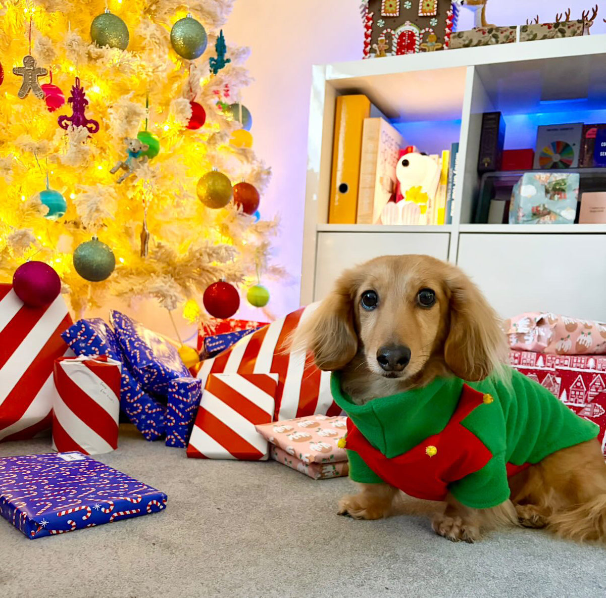 Elf Fleece Jumper
