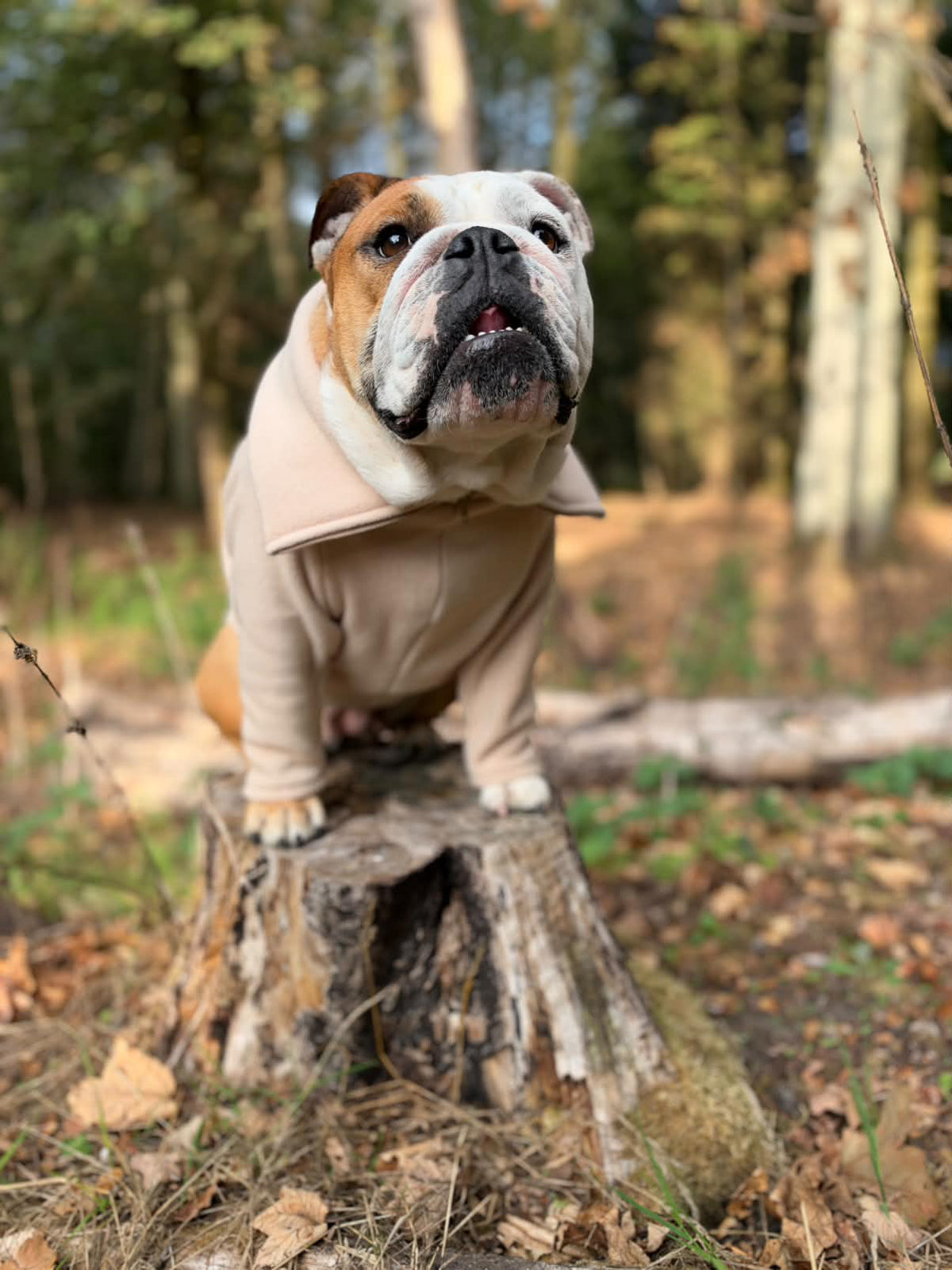 Beige Quarter Zip Fleece Jumper