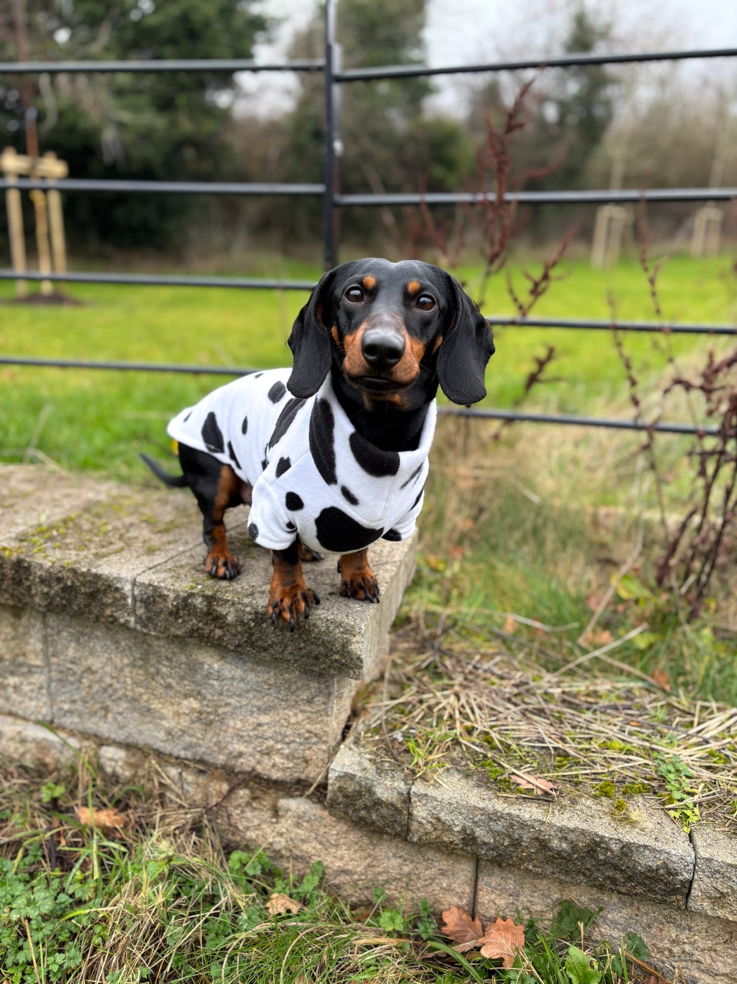 Moo Fleece Jumper