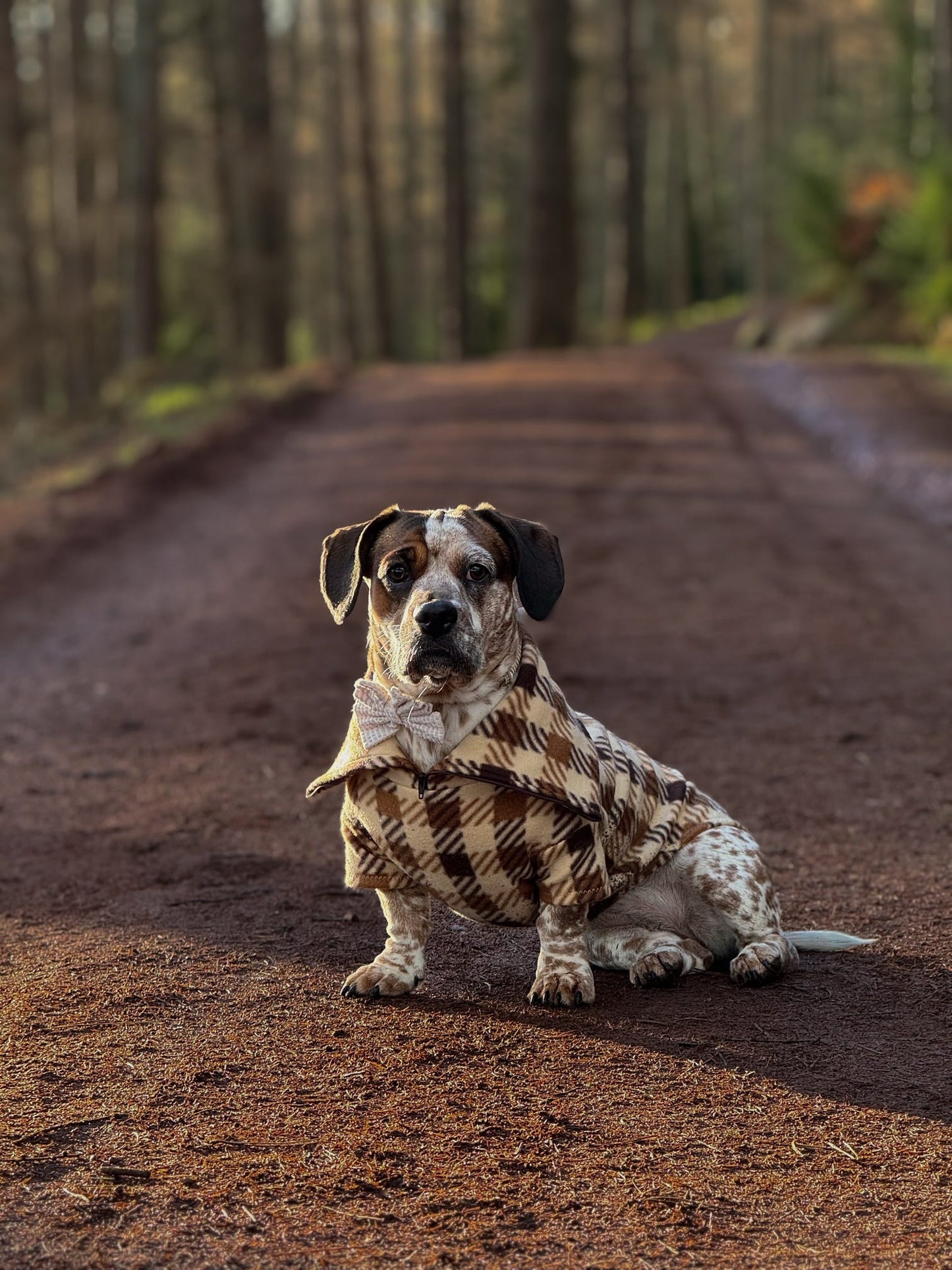 Brown Plaid Quarter Zip Fleece Jumper