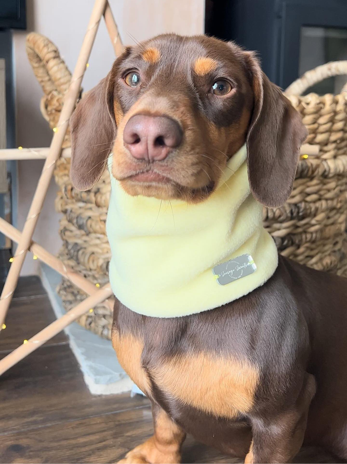 Lemon Fleece Snood