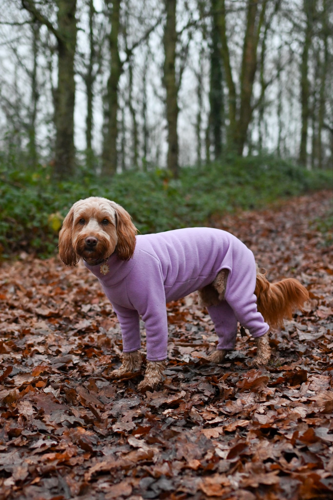 Lilac 4 Leg Fleece Jumper