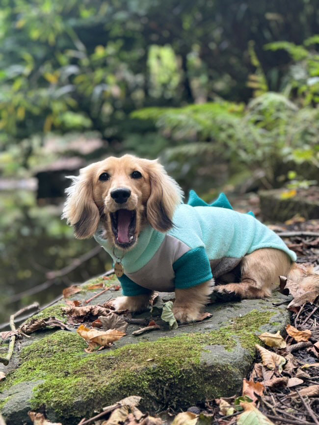 Jurassic Bark Fleece Jumper