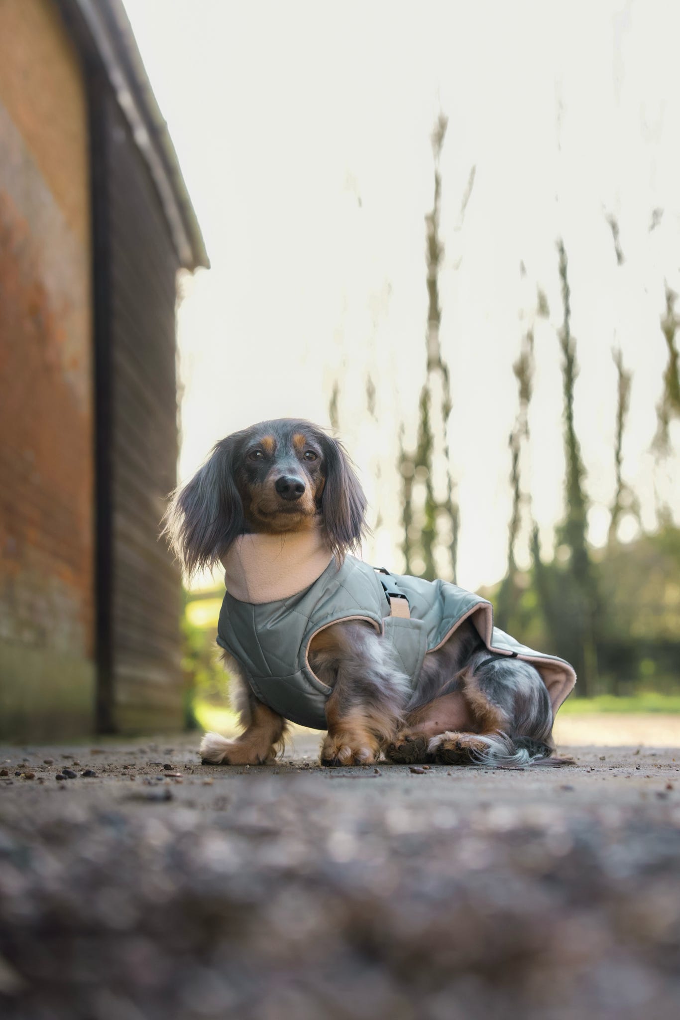 Sage Quilted Full Tummy Coat with Fleece Lining
