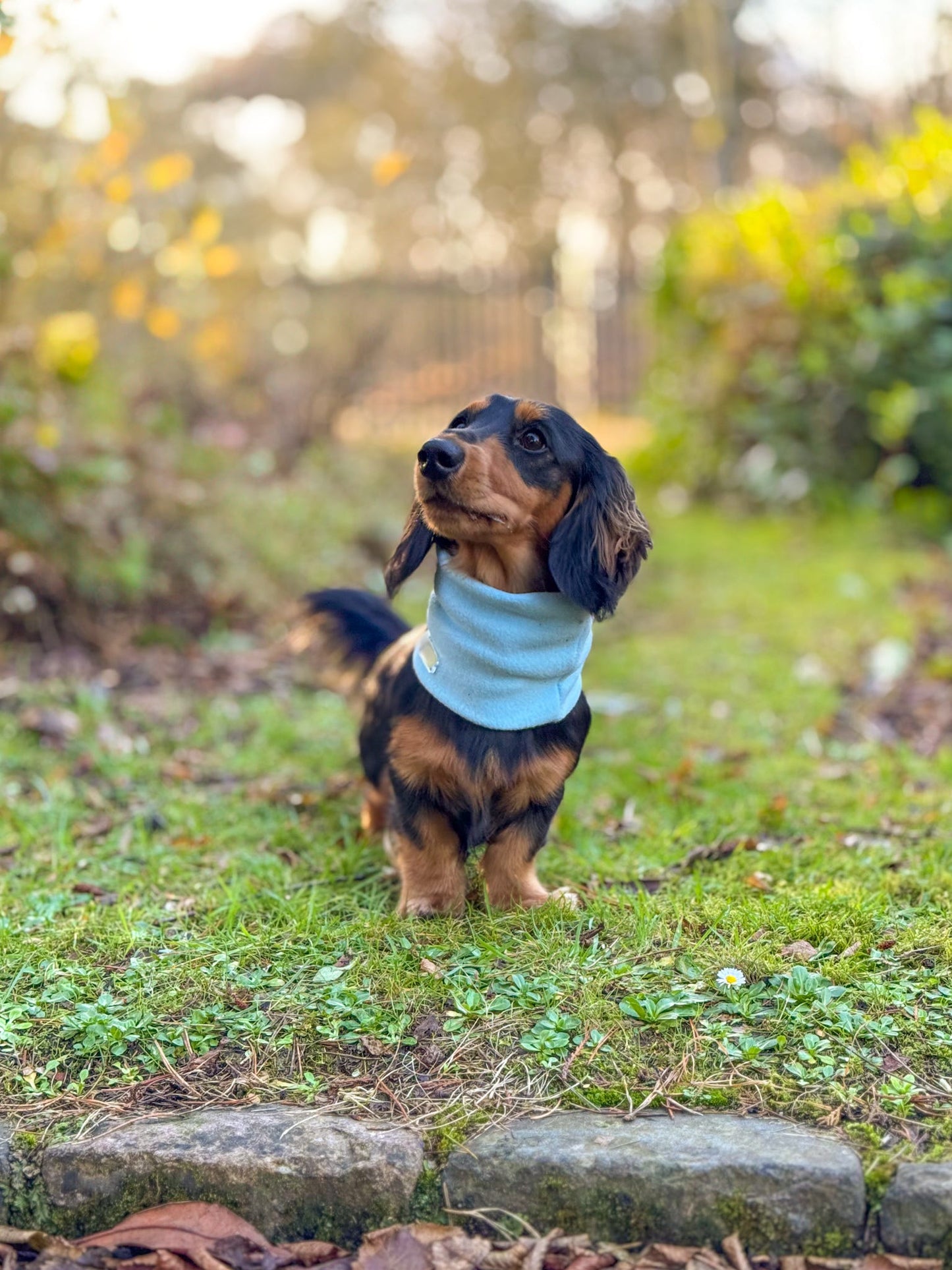 Sky Blue Fleece Snood