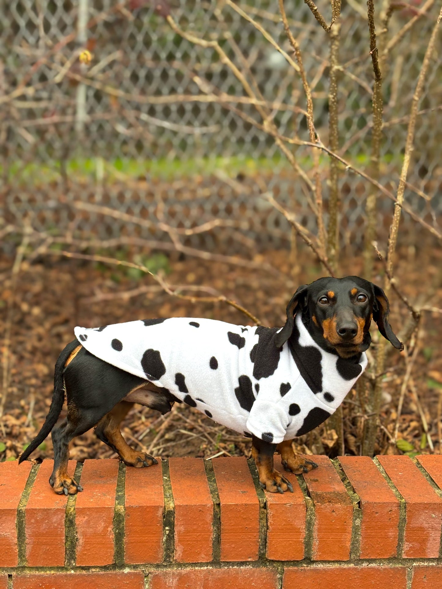 Moo Fleece Jumper