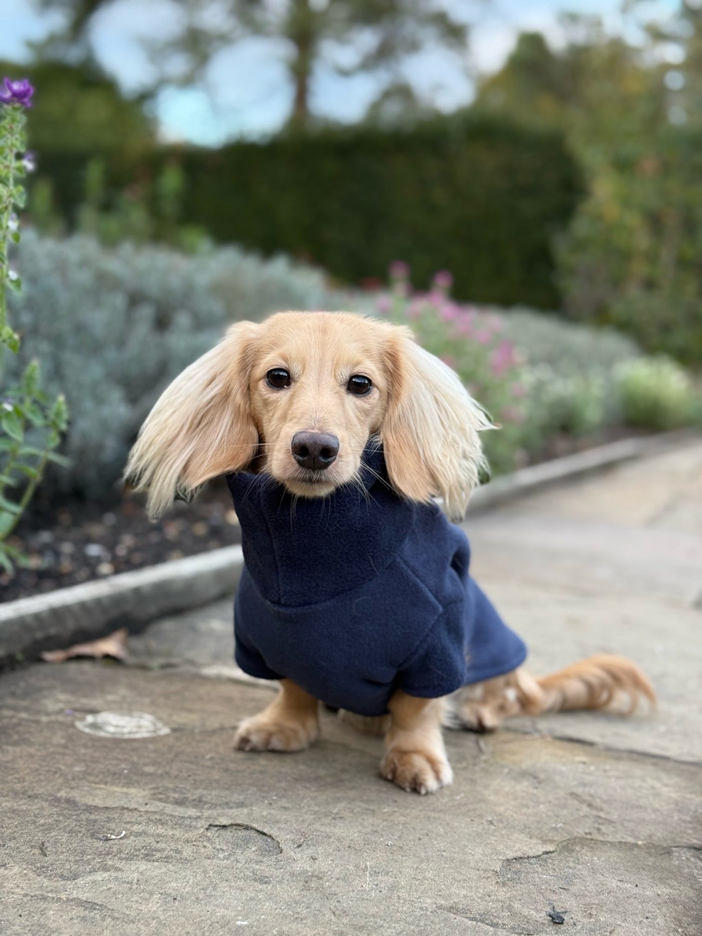 Navy Fleece Jumper