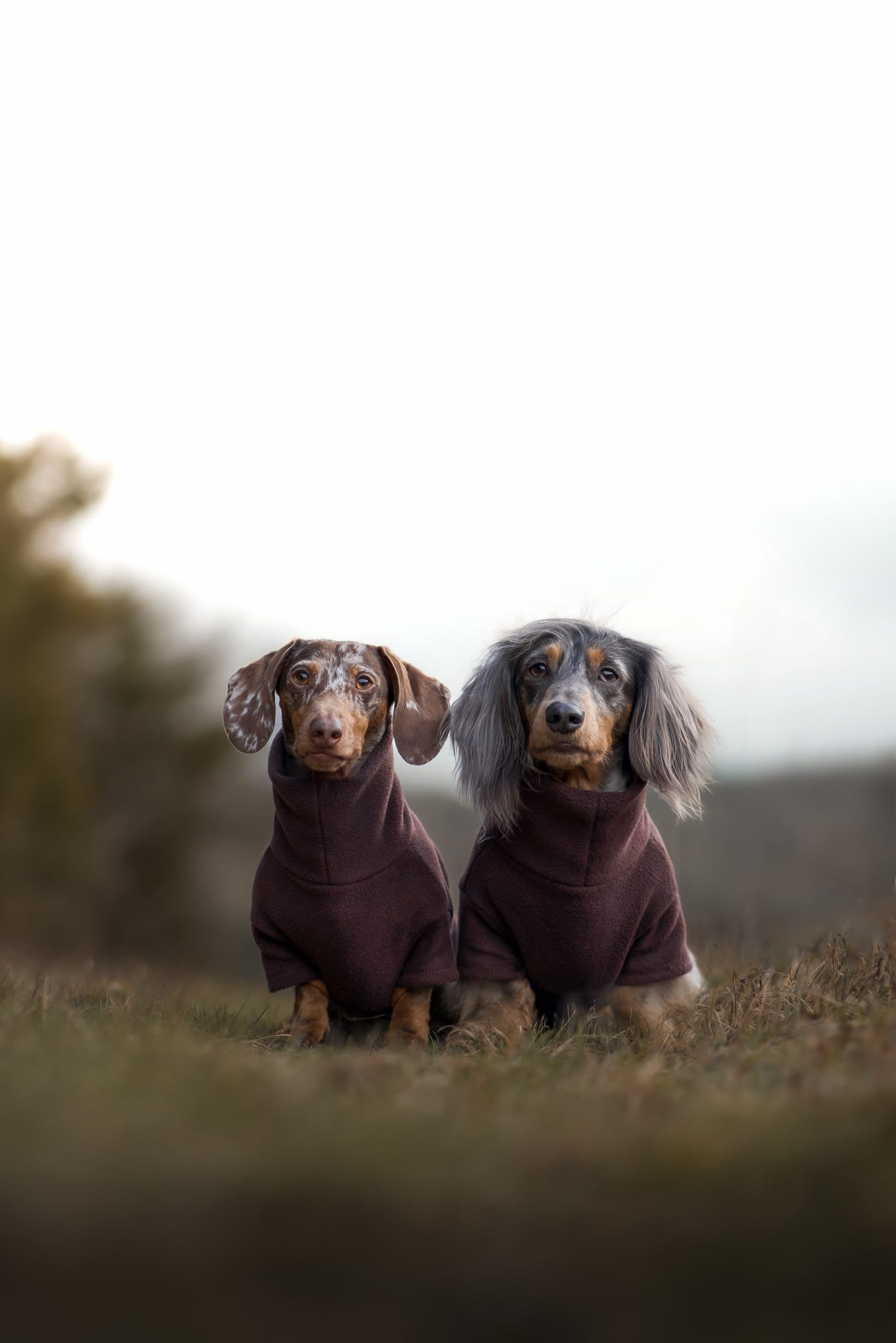 Chocolate Fleece Jumper