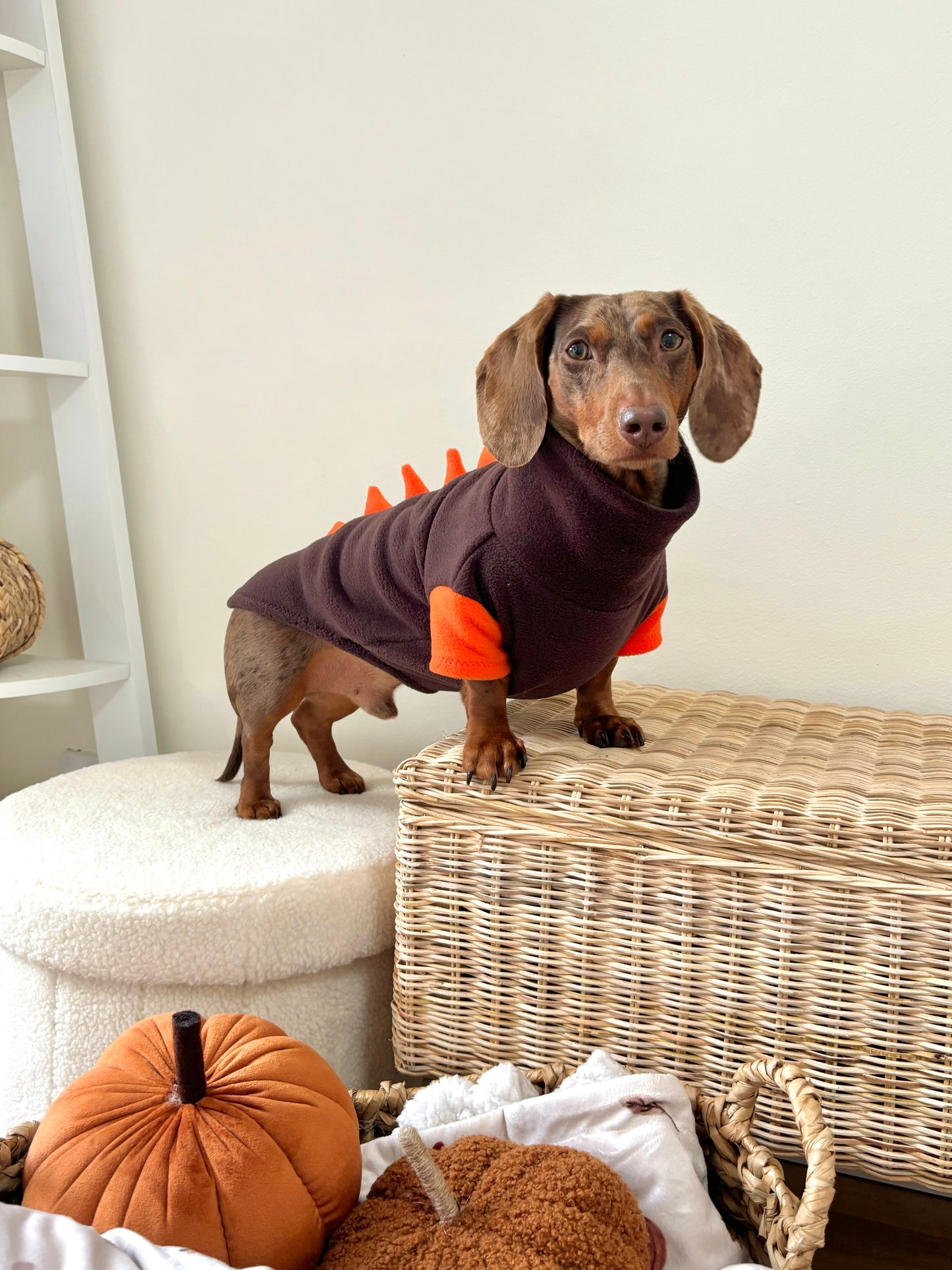 Jurassic Bark Fleece Jumper