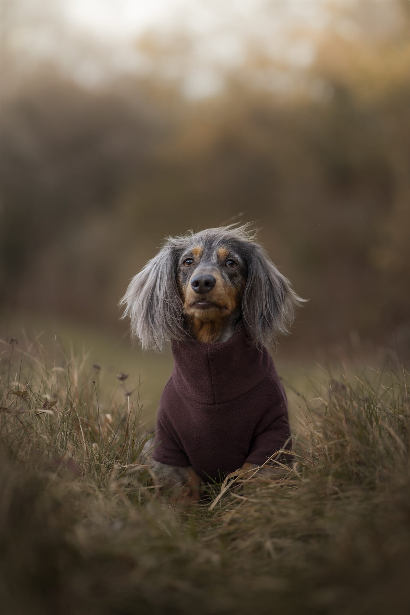Chocolate Fleece Jumper