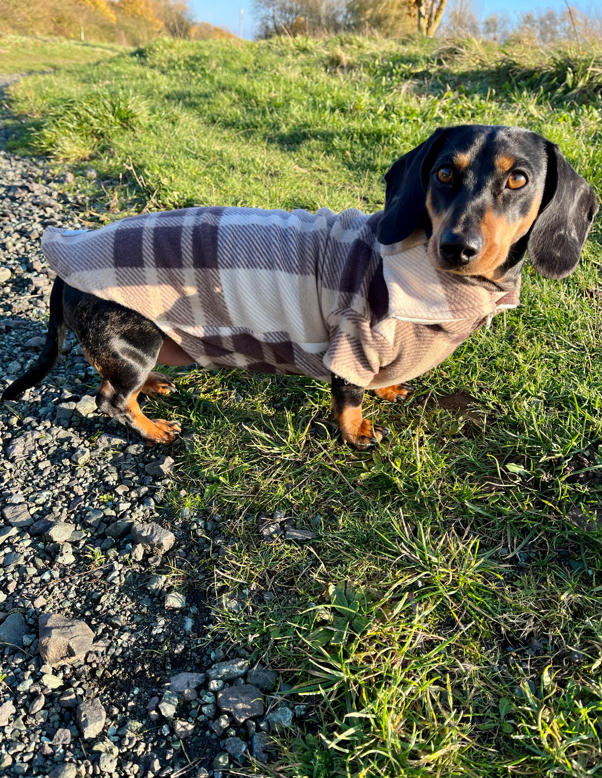 Cream Check Quarter Zip Fleece Jumper