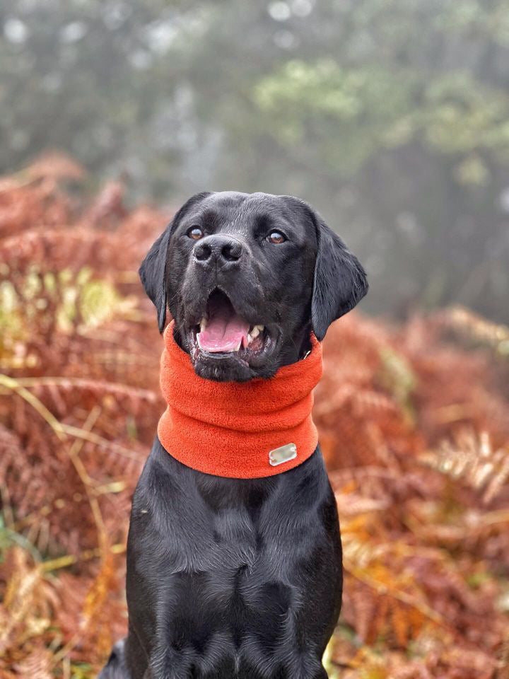 Rust Fleece Snood