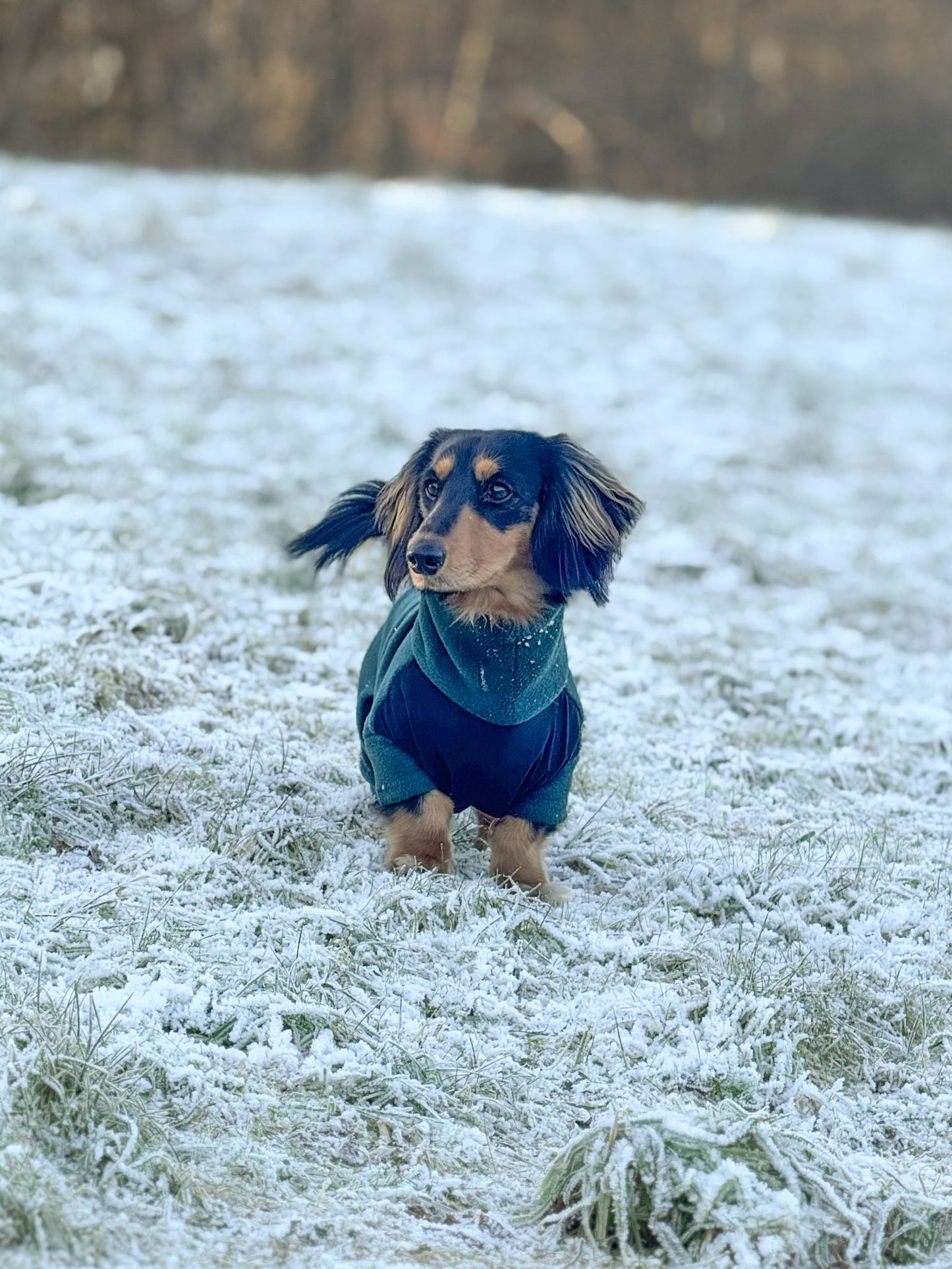 Dark Green 4 Leg Fleece Jumper