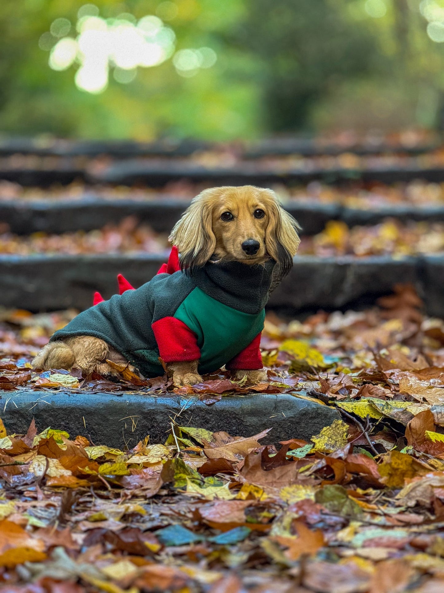 Jurassic Bark Fleece Jumper