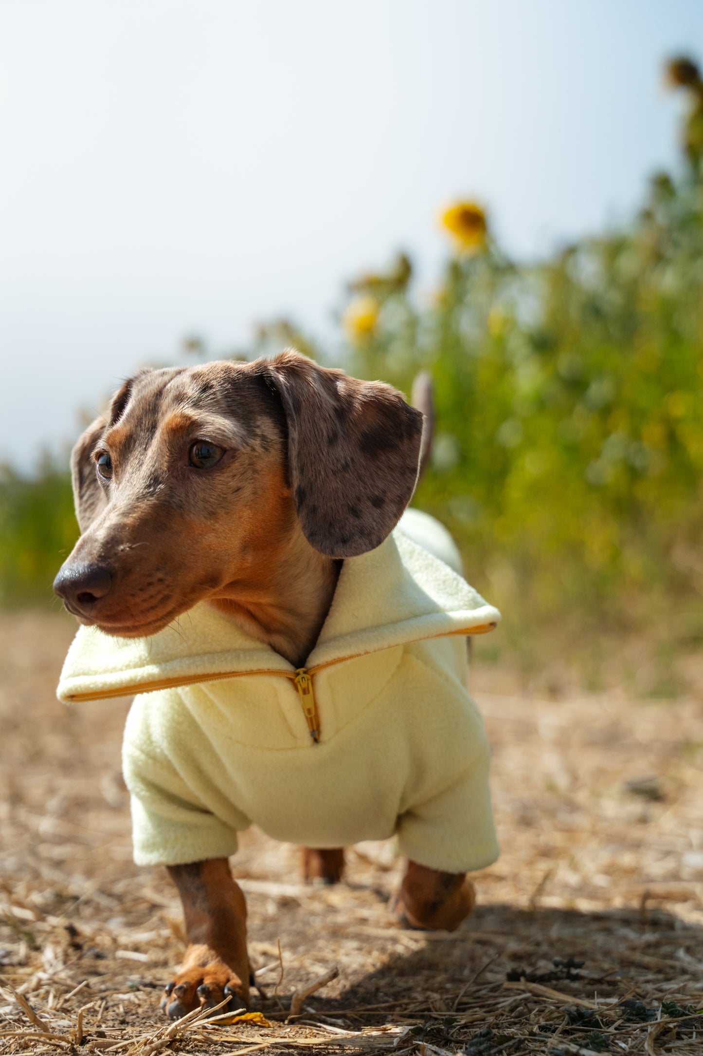 Lemon Quarter Zip Fleece Jumper