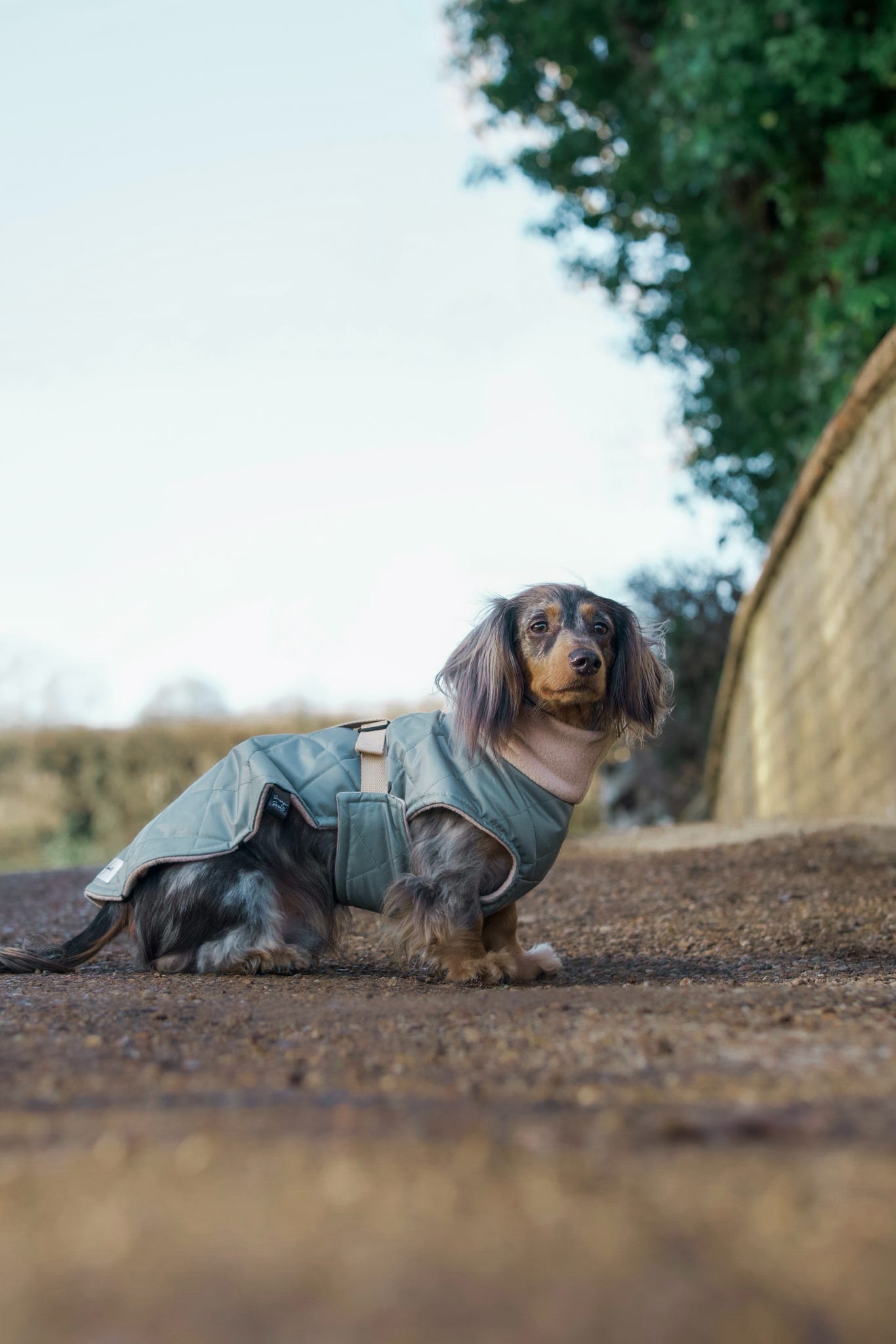 Sage Quilted Full Tummy Coat with Fleece Lining