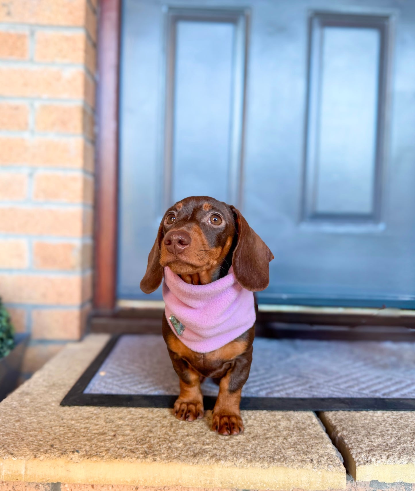 Lilac Fleece Snood