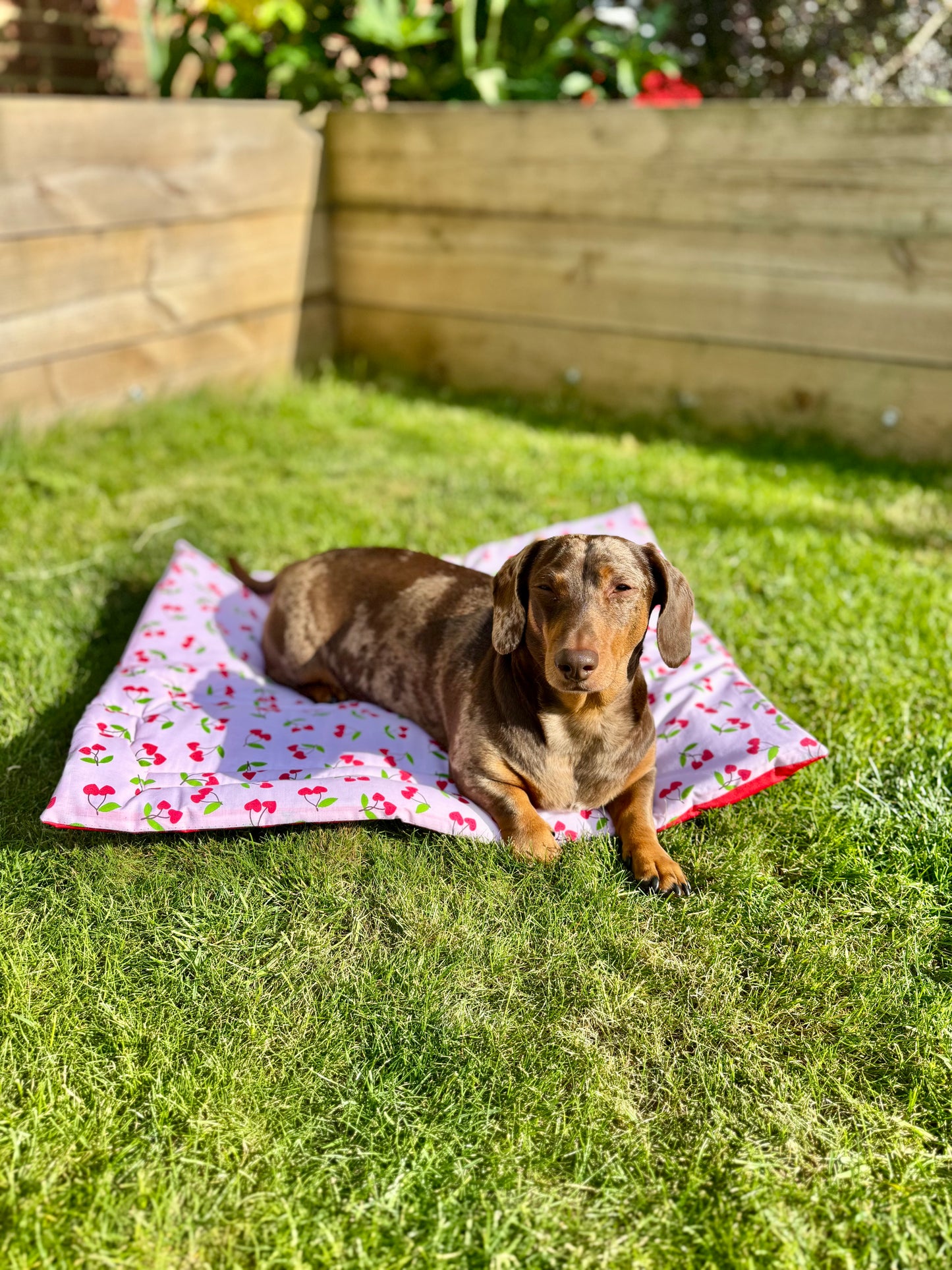 Cherry Pub & Picnic Settle Mat