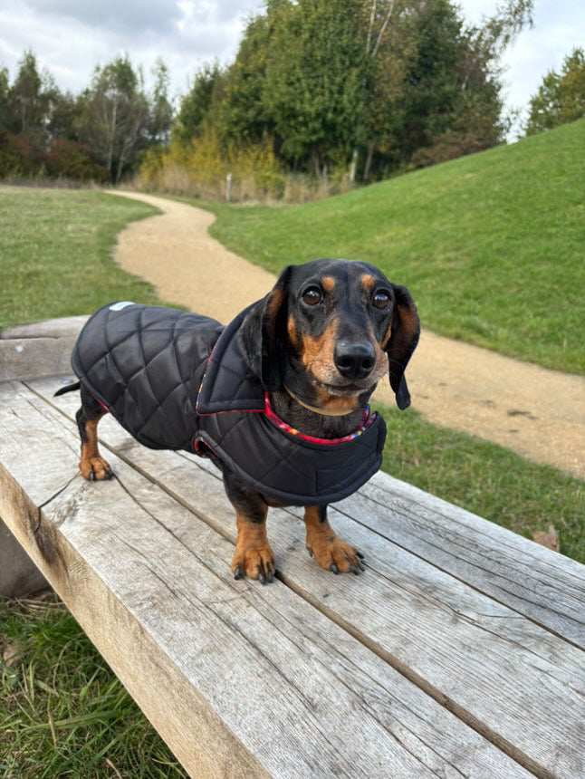 Black Quilted Coat with Fleece Lining