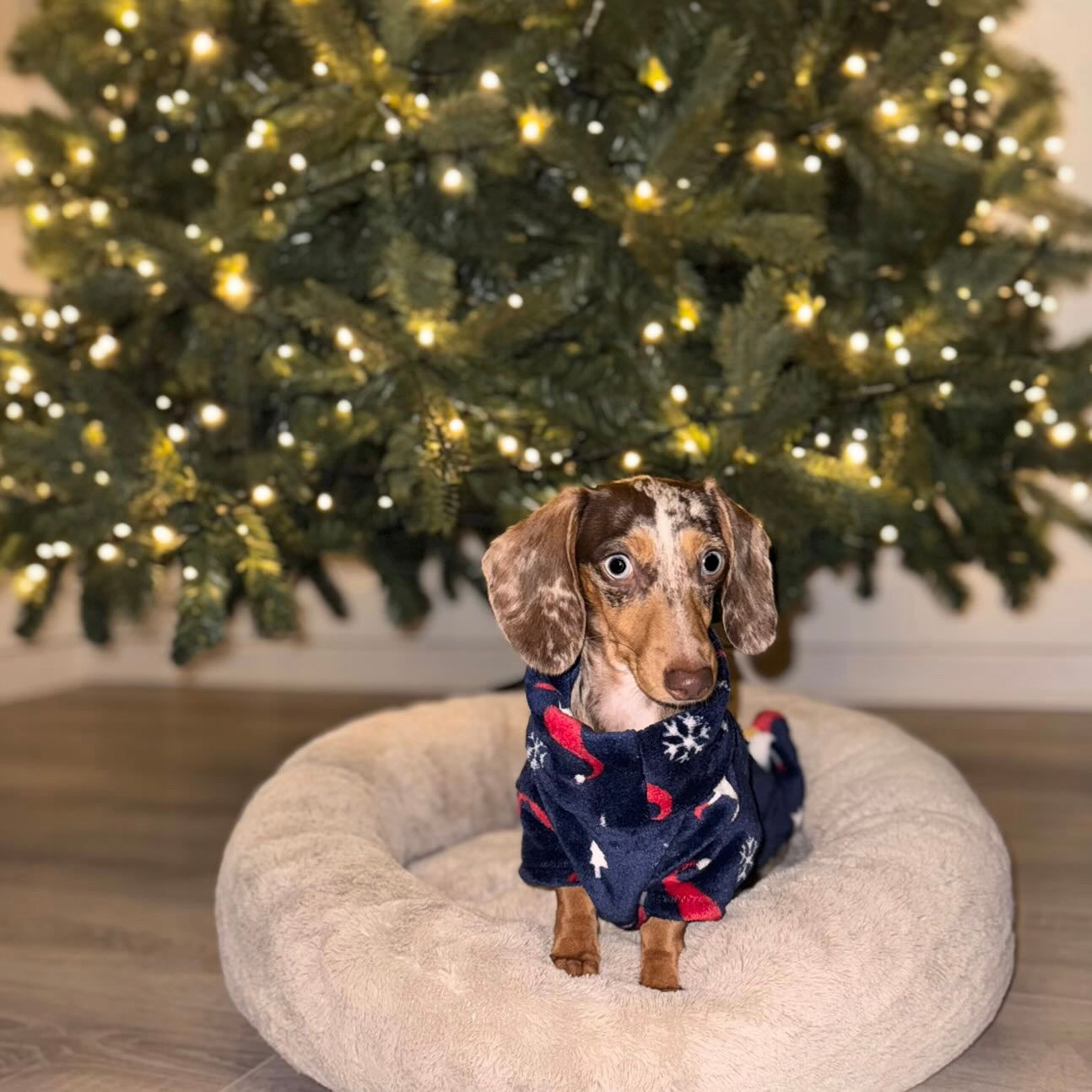 Christmas Gonk Jammies