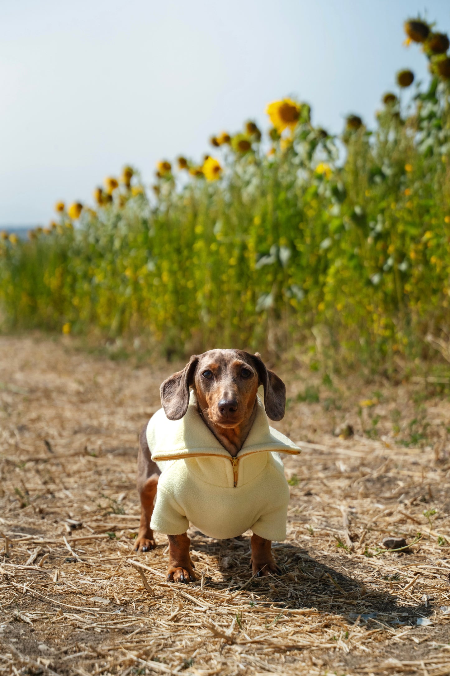 Lemon Quarter Zip Fleece Jumper