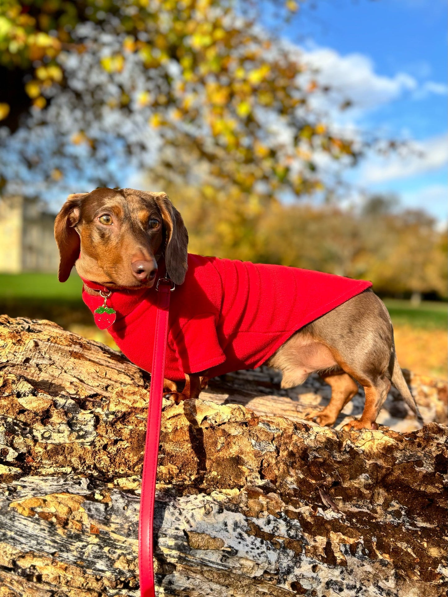 Red Fleece Jumper