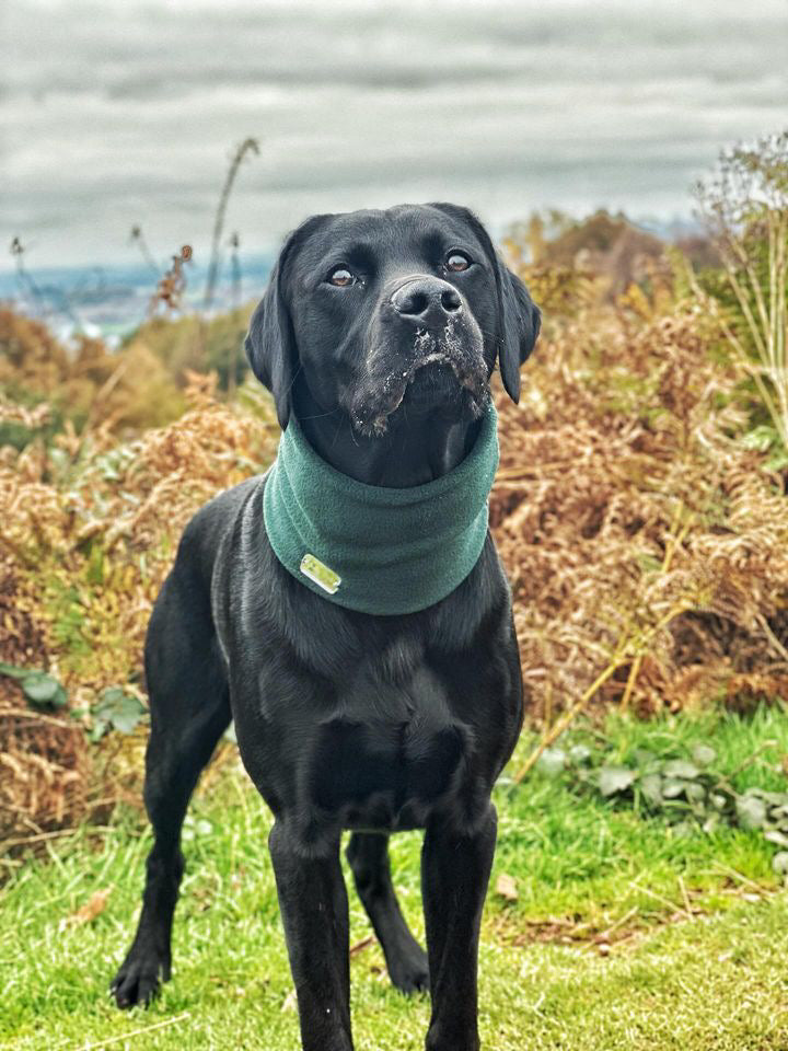 Dark Green Fleece Snood