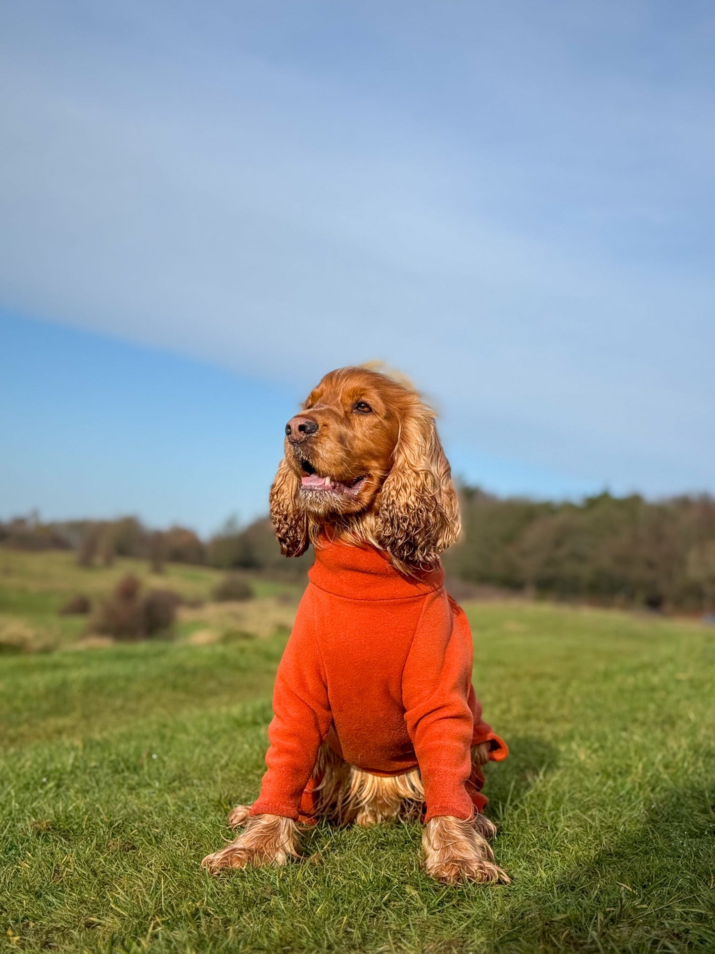 Rust 4 Leg Fleece Jumper