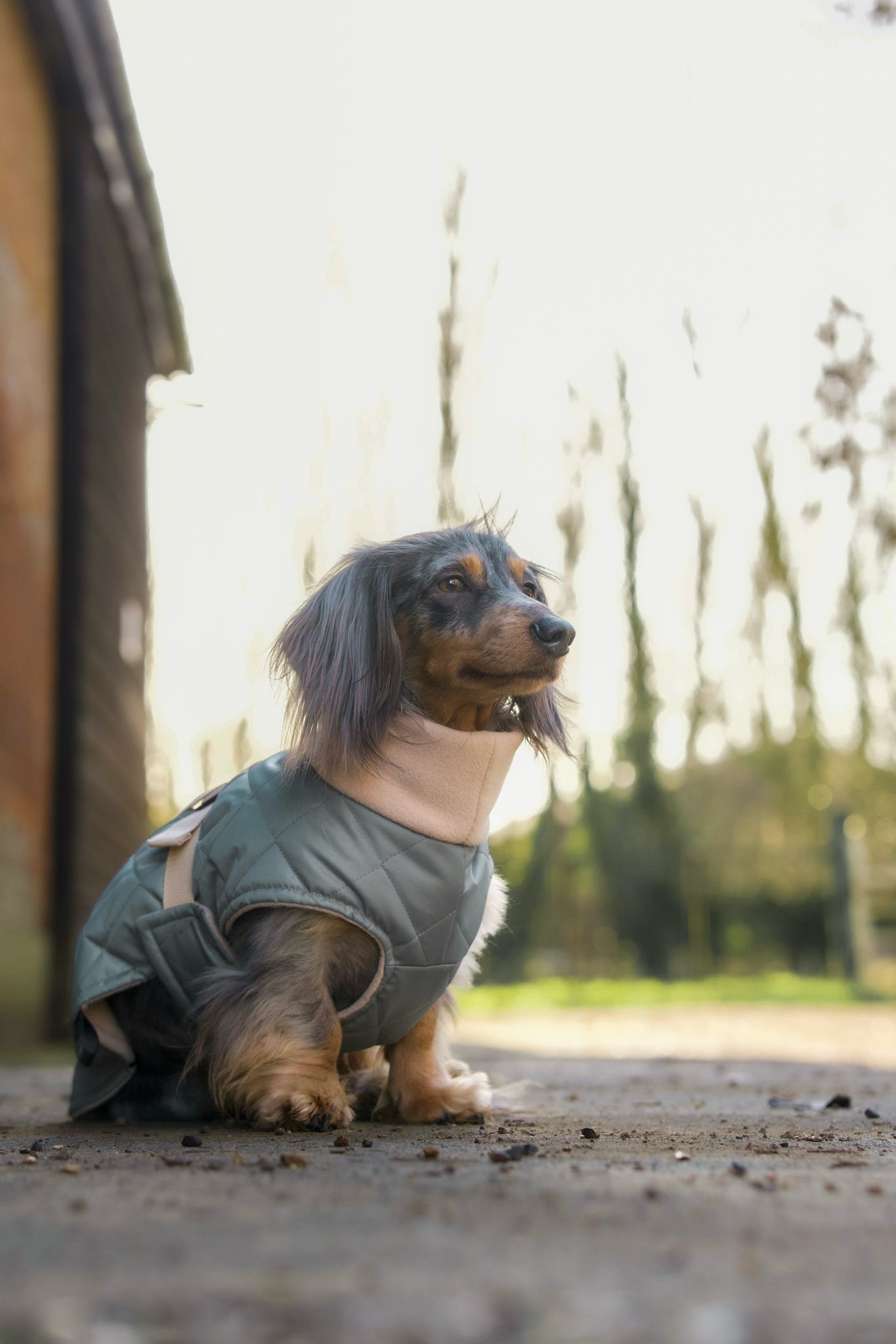 Sage Quilted Full Tummy Coat with Fleece Lining