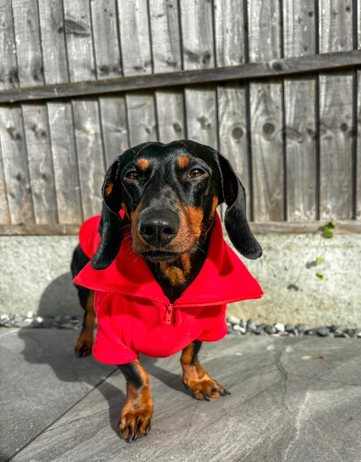 Red Quarter Zip Fleece Jumper