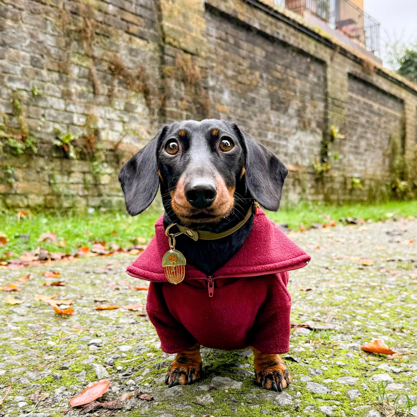 Wine Quarter Zip Fleece Jumper