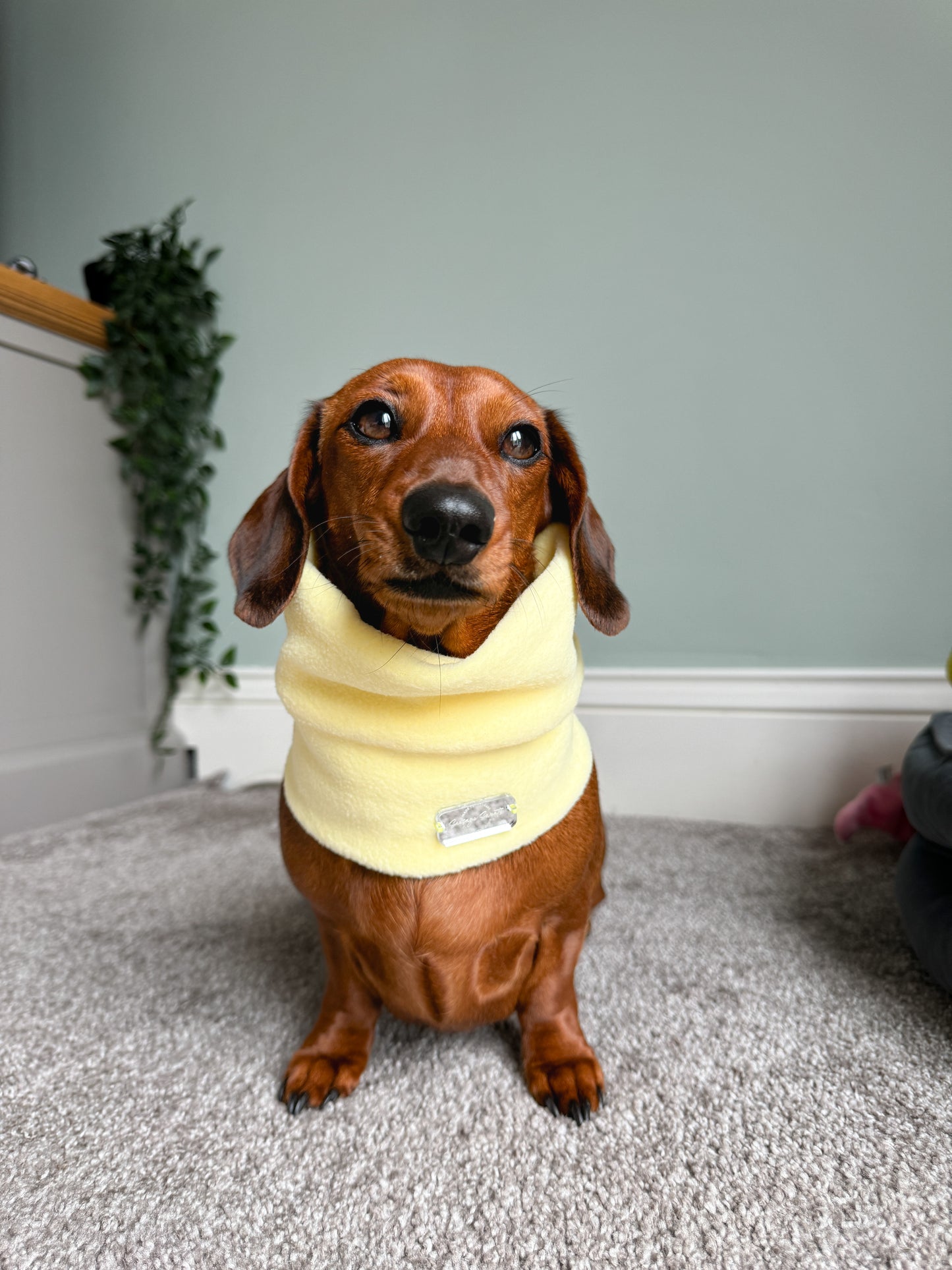 Lemon Fleece Snood