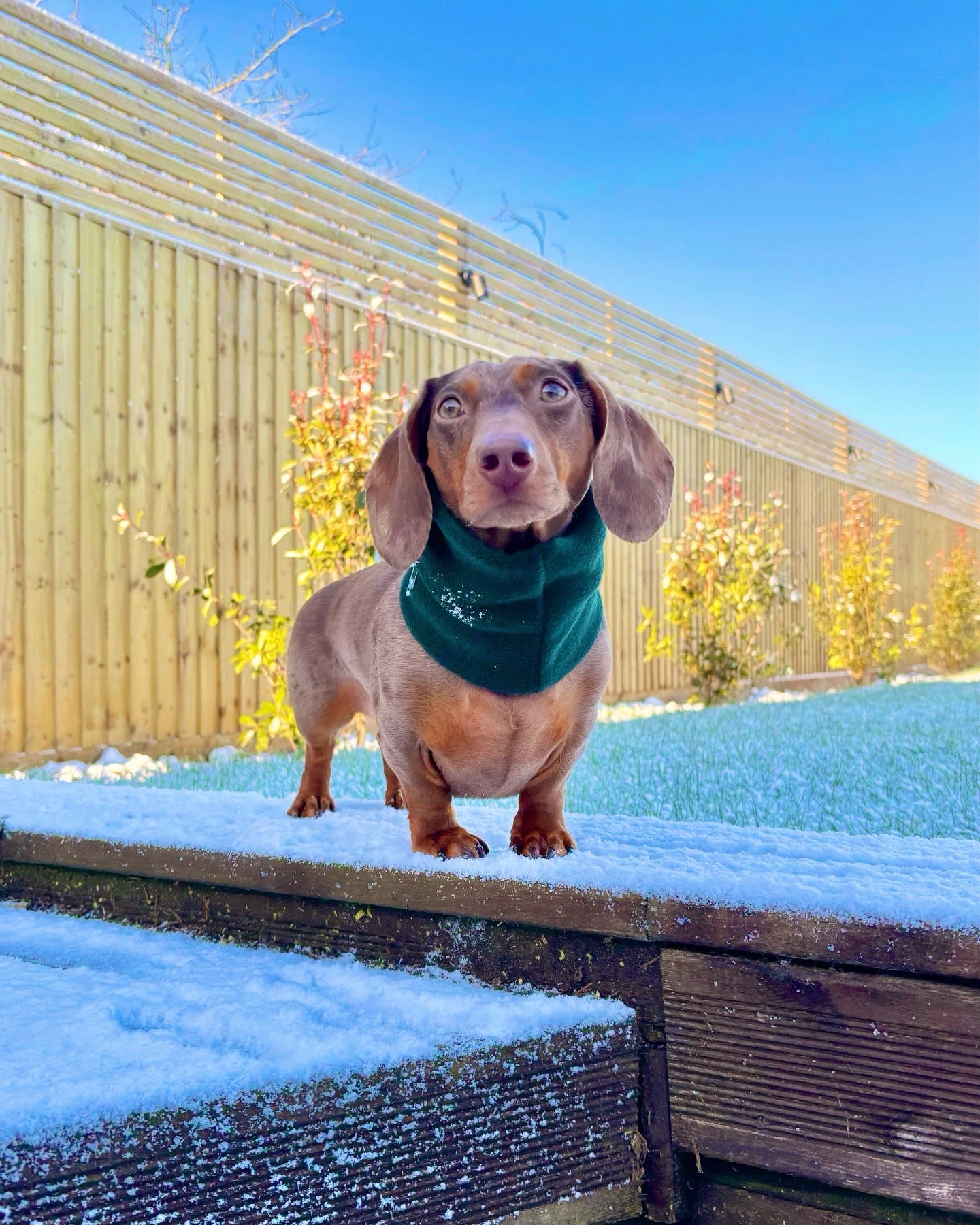 Dark Green Fleece Snood