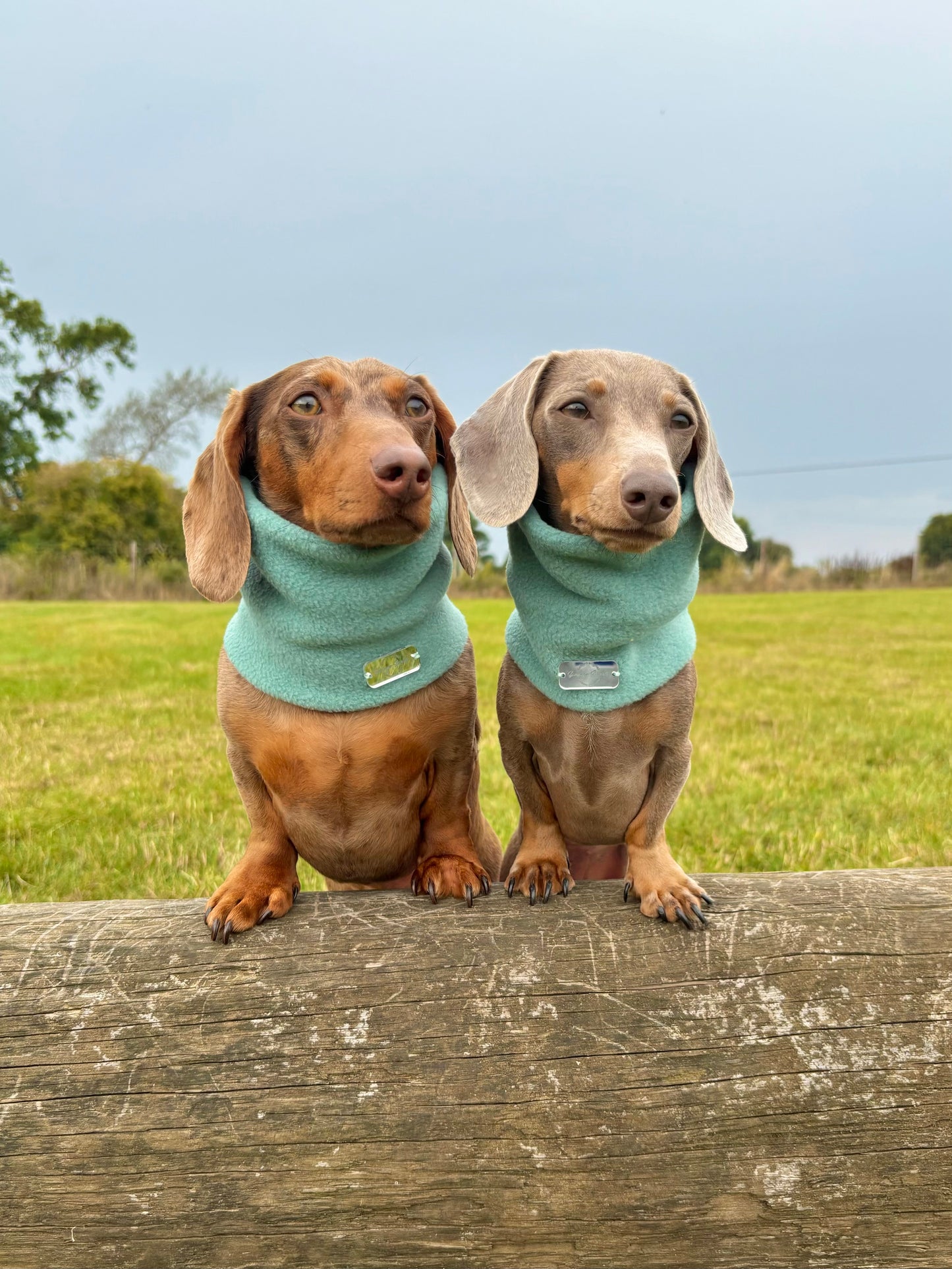 Sage Fleece Snood