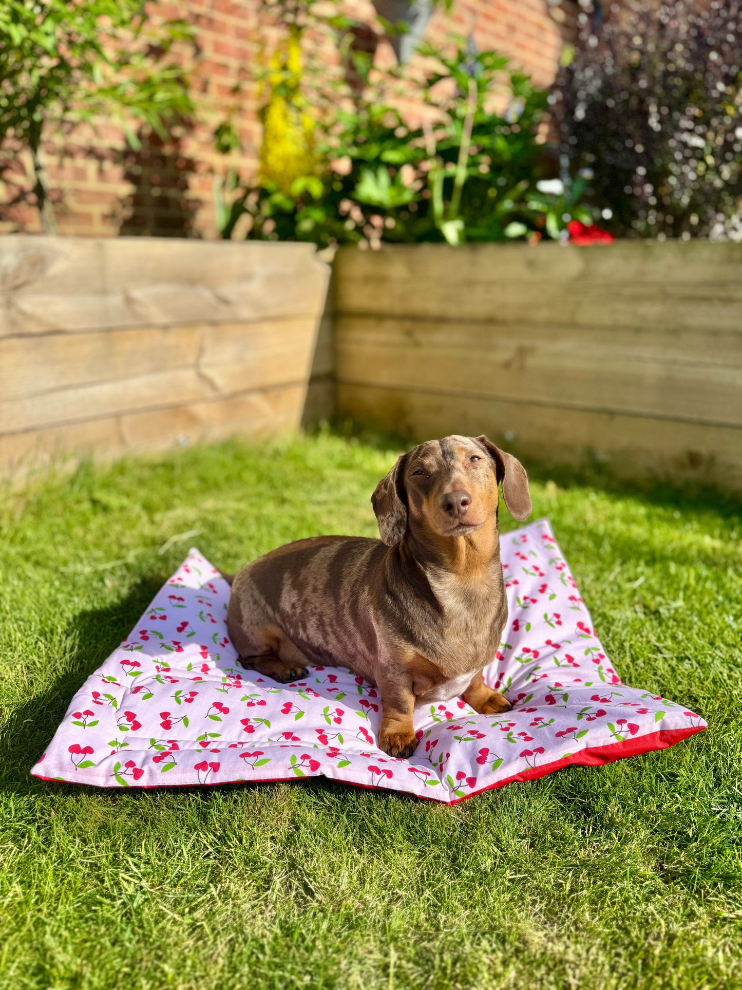 Cherry Pub & Picnic Settle Mat