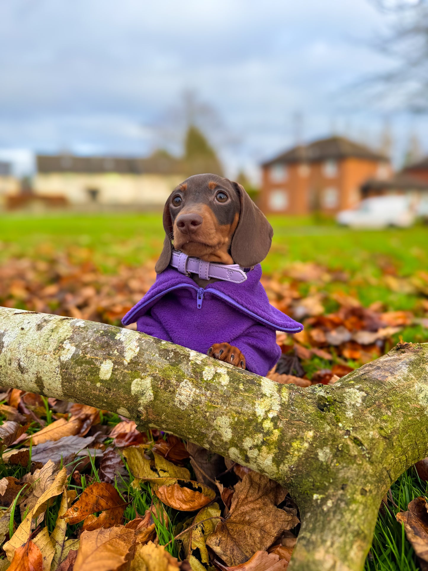 Purple Quarter Zip Fleece Jumper