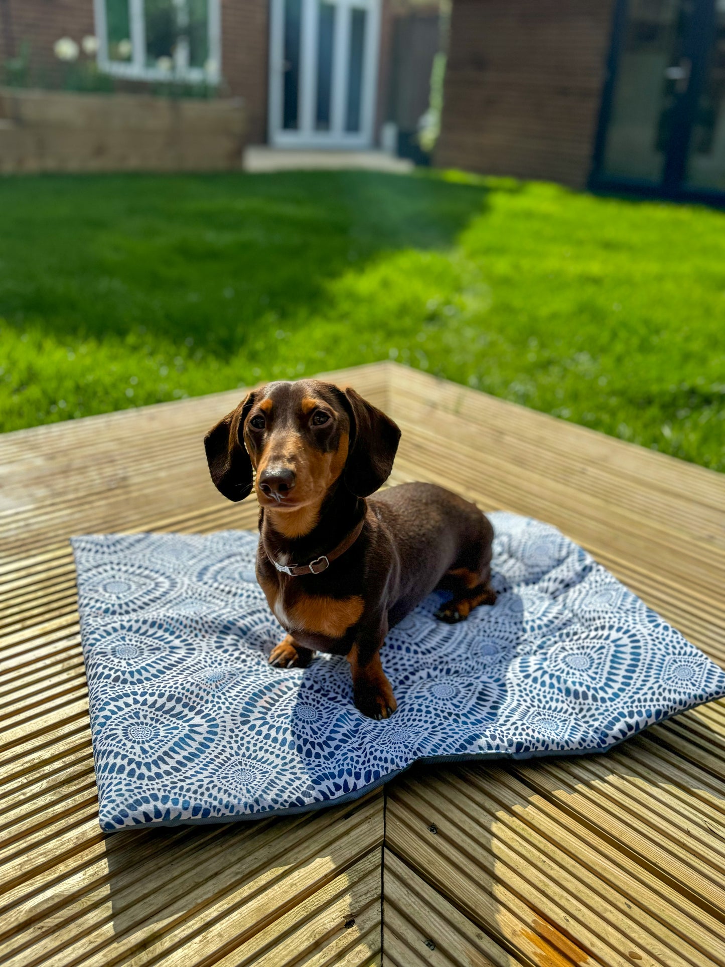 Maya Meander Pub & Picnic Mat