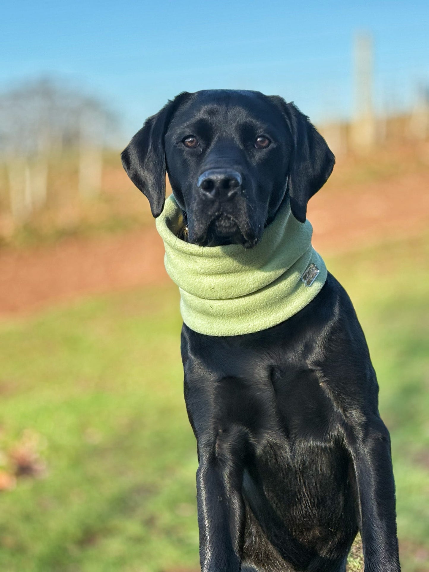 Pistachio Fleece Snood