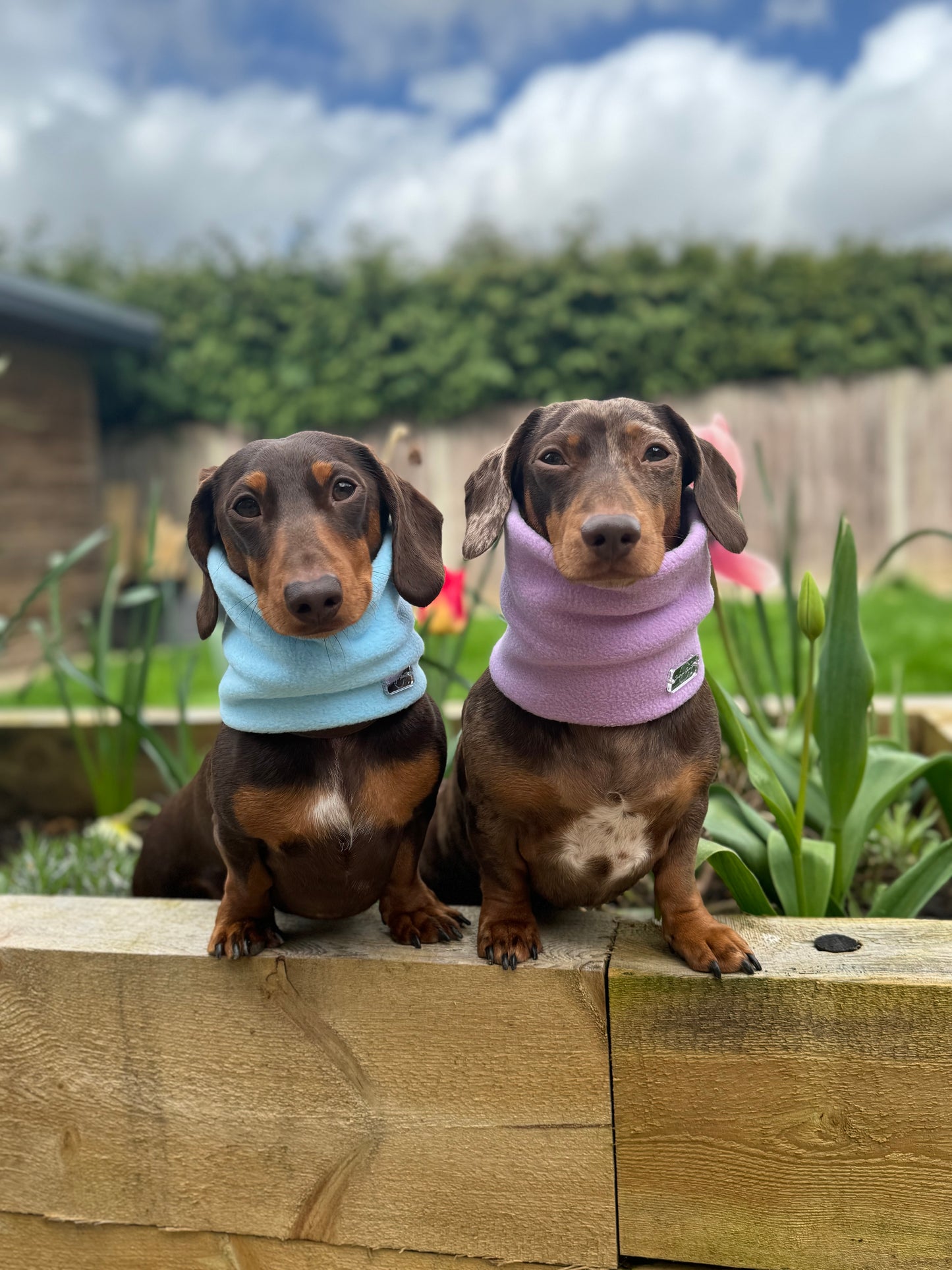 Lilac Fleece Snood