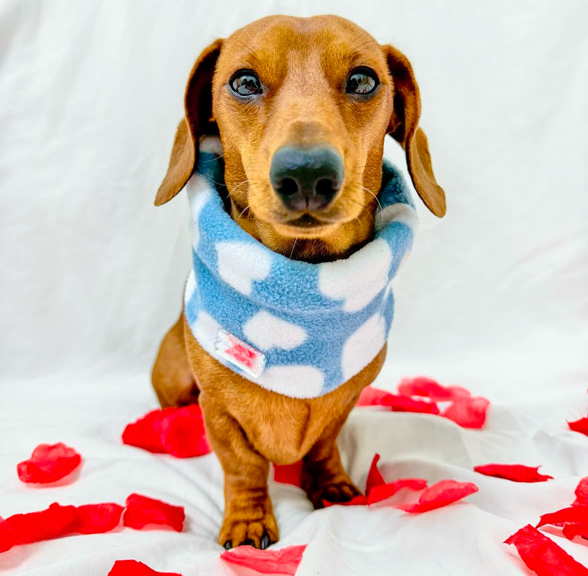 Love Blue Fleece Snood